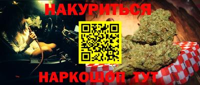 Альфа ПВП Бийск