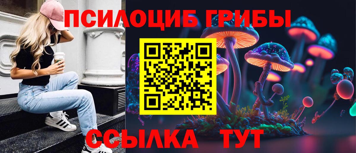 Псилоцибиновые грибы MAGIC MUSHROOMS Кириши