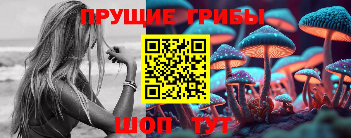 Галлюциногенные грибы мицелий  Вход с VPN  Кириши 